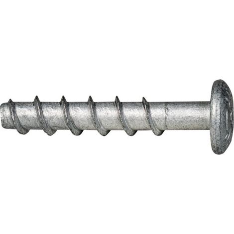 Vite per calcestruzzo CELO BTS PTL 6-40 / 5 Testa bombata groß TX30 ZnAl (Per 150)