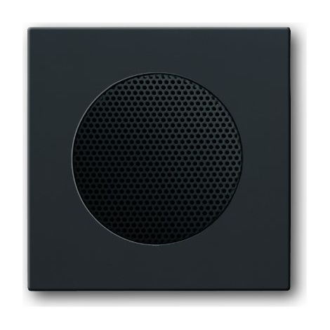 Busch-Jaeger Plaque centrale Haut-parleur anthracite - plateforme 63 (8253-81), 2CKA008200A0078