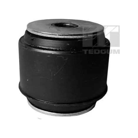 Suspension, corps de l'essieu Tedgum 00020142 ALFA ROMEO 60687130