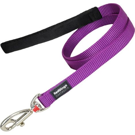 Red Dingo - Correa lisa en color morado