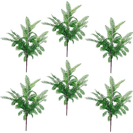 6 x 55cm Himilayan Maidenhair Fern Bush Dark Green Plant (1/5)