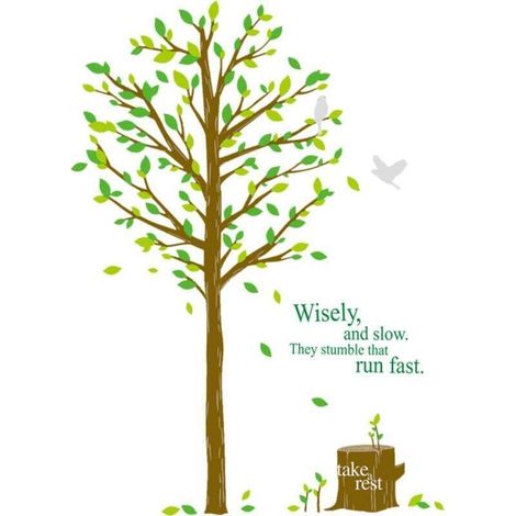 Un lot de stickers muraux motif arbre vert oiseaux Sticker Mural pour Salon chambre bureau Décoration Murale (1/4)