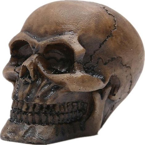 Künstlicher Totenkopf aus Kunstharz zur Dekoration (1/3)