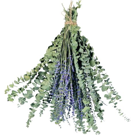 Getrocknete Eukalyptus- und Lavendelzweige, 38 cm lang, konservierte, echte Grünpflanzen, Blätter und Zweige, zum Aufhängen in der Dusche, als Vasenfüller oder zur Dekoration Ihres Zuhauses (1/2)