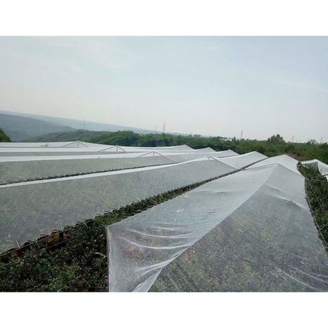 Filet anti-oiseaux pour plantes de jardin, protège-arbres fruitiers et légumes, filet en maille blanche 1,8 x 7,6 m (1/5)