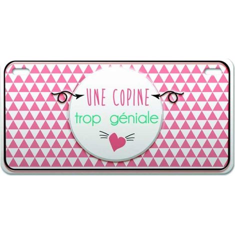 Magnet Une copine trop géniale en Métal (1/2)