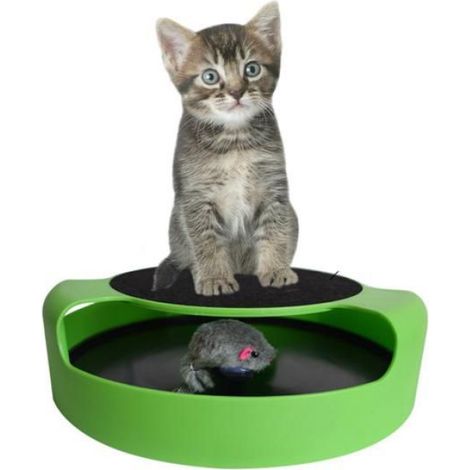Tunnel de jeu pour chat - Phoesky - Plastique - Vert - 25x25x6.5 cm - Souris mobile - Interactif - 280g (1/5)