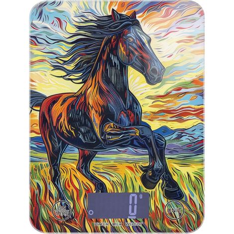 Handsome Balance de cuisine étanche pour voyage 5 kg/ (1/5)