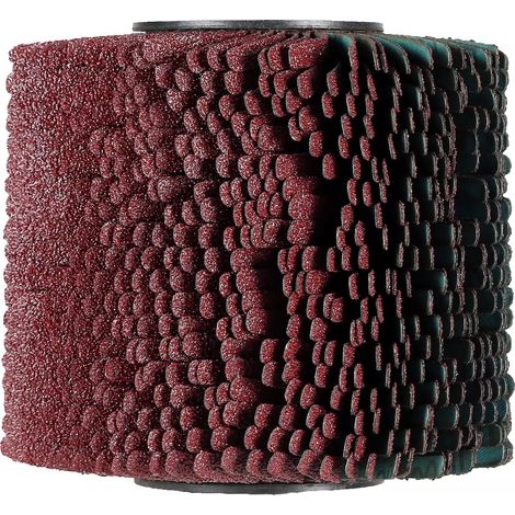 EINHELL Brosse à bandes abrasives - 120 x 100 mm - Grain 80 - Compatible TP-BR 18/32 Li BL (1/2)