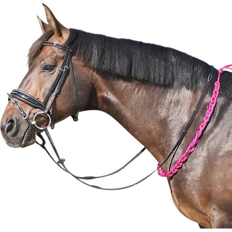 EQuest Beginner Balance Zügel, pink - 140 cm - hilft dem Pferd, das Gleichgewicht zu verbessern