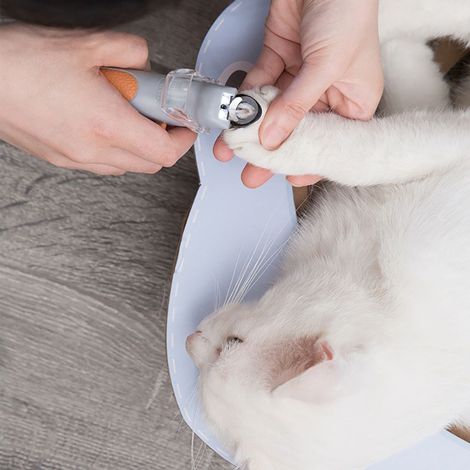 Coupe-griffes lumineux pour chat, ciseaux à griffes pour chat, lime à ongles avec lumière LED grossissante x5 et lampe à ongles intégrée. (1/5)