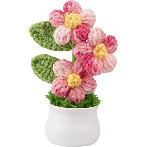 Pot de fleurs crocheté en forme de bulle avec des fleurs en dégradé, parfait pour composer des bouquets faits maison pour les amis, la famille et les êtres chers un excellent cadeau pour la Saint-Val (1/3)