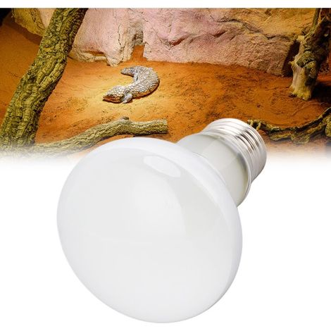 Ampoule chauffante Reptile E27 UVA 75W 220-240V Blanc pour Dragon barbu Tortues Amphibiens (1/5)