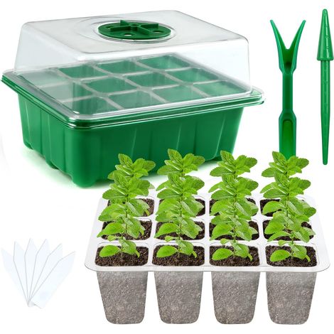 Set of 5 Mini Greenhouses Indoor Grow (1/5)