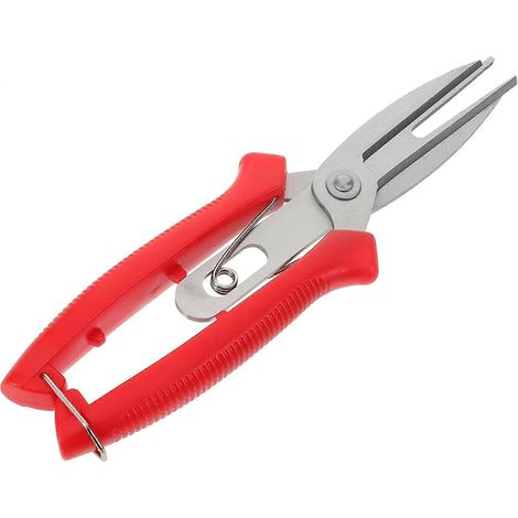 sécateur à fruits, boîte à outils, outil de désherbage, ciseaux à gazon, ciseaux de jardinage, outil de jardinage, ciseaux à fleurs de jardin, sécateur, taille-plantes rouge (1/5)