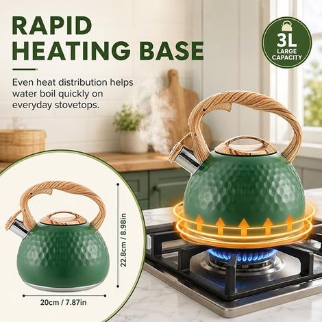 Whistling Kettle 3L Stainless Steel Teapot Induction Teapot Ergonomic Handle (Green) (1/4)