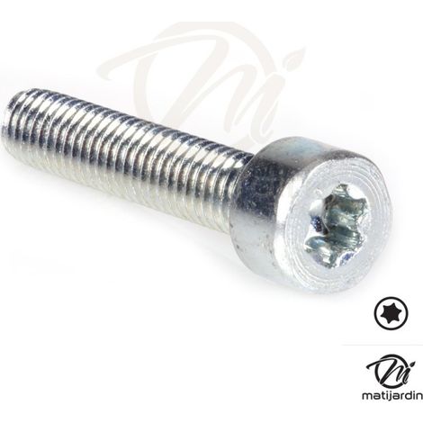 Vis Torx 27 M6 x 30 pour tronçonneuse Stihl 034 MS340 (1/5)