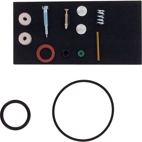 carburetor repair kit briggs-stratton compatible moteurs walbro