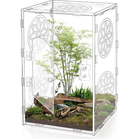 Térarium en Acrylique Transparent pour Reptiles Cage d'Élevage de Haute Vision 30x18.7x15cm Volière pour Insectes Araignées Lézards Scorpions Escargots avec Serrure de Porte (1/5)
