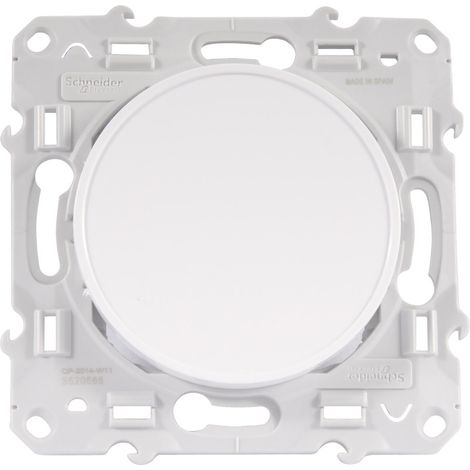 Abdeckplatte Schneider Electric s520666 Schraubbefestigung IP21 IK04