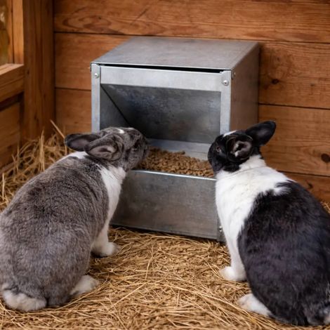 Mangeoire murale metal galvanisé lapin, rongeurs 2,5 Kg (1/5)