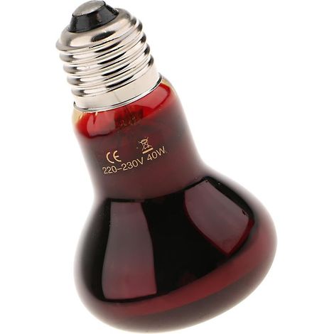 Lampe de nuit infrarouge chauffante 40W pour reptiles, tortues et amphibiens, douille E27 (1/5)