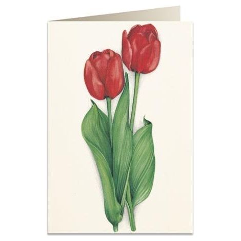 Cartolina B6 + busta 7517 Tulipani rossi