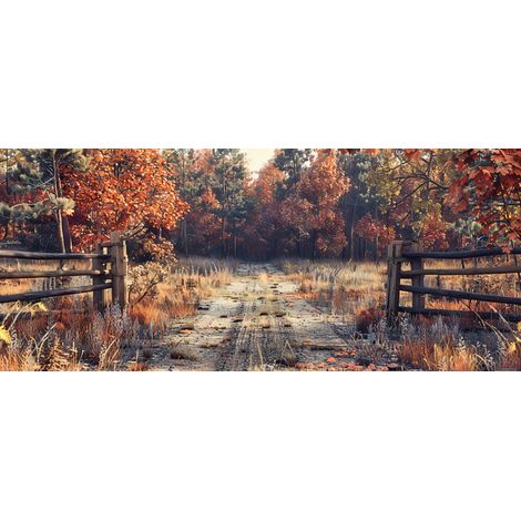 Papier peint foret sous bois dautomne - 150 x 250 cm (1/2)