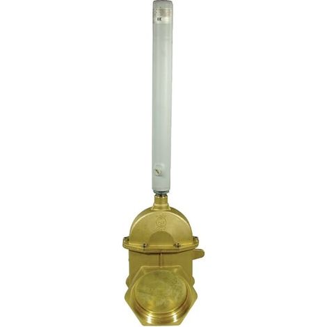Gewindeschieber 6" mit einfachwirkenden Hydr.zylinder MZ 6002066 (1/2)
