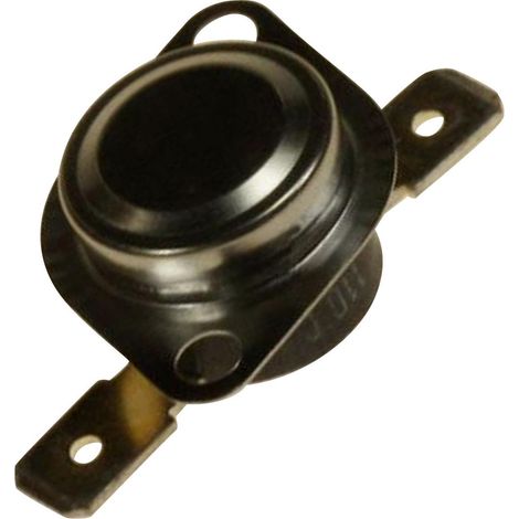 Thermostat de securite d'origine