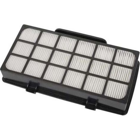 Filtro HEPA ZR920101 RS-RT4310 - aspirapolvere
