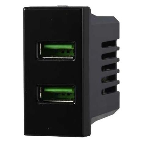 Chargeur avec 2 prises USB Type-A compatible Bticino Axolute 5Vdc 2.1A couleur noir Ettroit AN2402