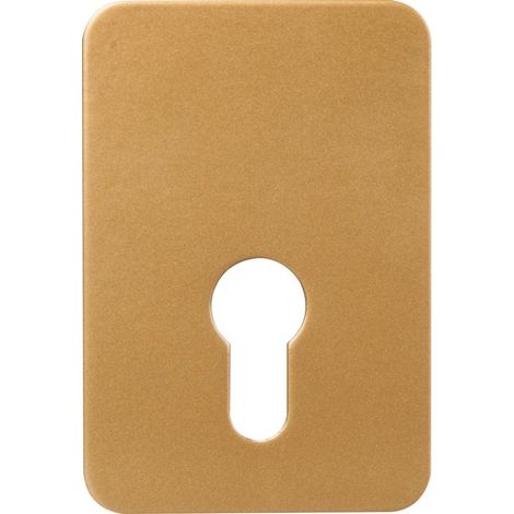 Plaque de renfort pour porte – Compatible cylindre européen – Fixation vis métaux – Finition époxy or pour sécurité renforcée – Exem (1/2)