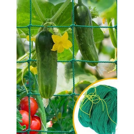 1 Stück Kletterpflanzennetz, Ranknetz für Luffa, Prunkwinde, Gurkenreben 180270cm (1/5)