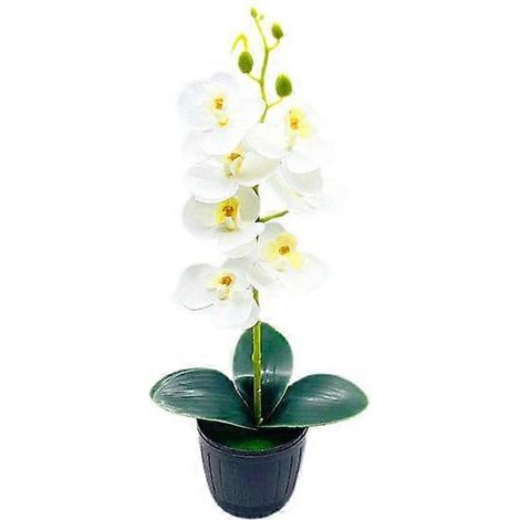 Orchidée artificielle en pot, présentoir en plastique aspect naturel, plante en pot décorative.blanc (1/5)