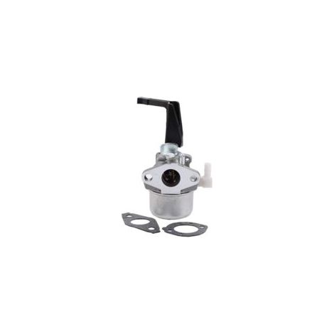 Carburador 696065 compatible con Briggs & Stratton 696065 697422 110402-0206-E1