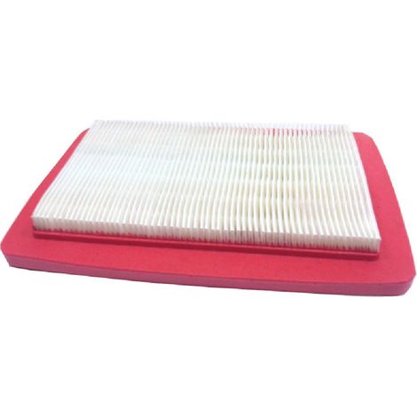 Filtro de aire GCV530 Medidas 219x118x25  300014