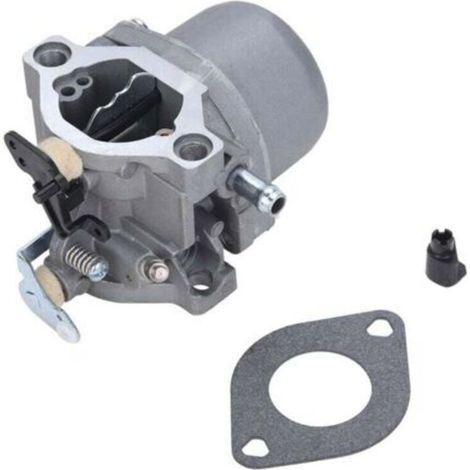 Carburateur de moteur compatible avec les modèles Briggs & Stratton 285707, 289707, 28B705 et 28M707 (1/4)