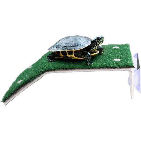Solaire pour Tortues Aquatiques Ponton pour Aquarium avec (1/5)