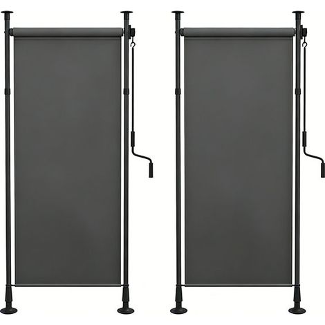 2er-Set  senkrechtmarkise Sonnenschutz Balkonrollo 120x220-310cm wetterfest mit Kurbel Polyester Dunkelgrau für Terrasse & Garten
