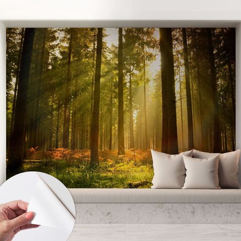 Carta da parati autoadesiva - fotomurale - decorazione parete - stile elegante - decorazione casa - Mattina nel bosco 208x146 cm (1/5)