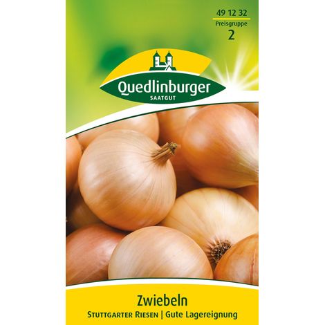 Quedlinburger Saatgut – Oignon « Stuttgarter Riesen » – Graines de légumes, oignon jaune aplati, longue conservation (1/2)