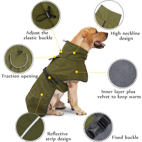 Hunde-Regenmantel – Wasserdichter Wintermantel für Hunde, winddicht, mit Samtfutter, reflektierenden Streifen, grün, Größe S (1/4)
