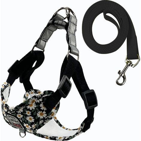 Fournitures pour animaux de compagnie Laisse respirante pour chien Laisse imprimée pour chien de promenade pour chien de petite et moyenne taille Nouveau harnais pour animaux de compagnie en gros (1/3)