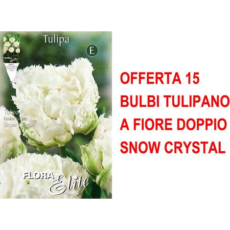 OFFERTA 15 BULBI TULIPANO A FIORE DOPPIO SNOW CRYSTA BULBI AUTUNNALI BULBS BULBES