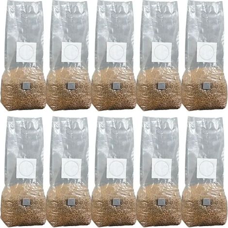 (10 pièces) 10 sacs de culture de champignons à haut rendement en PP stérilisé, hydratés, avec filtre pour substrat et mycélium.