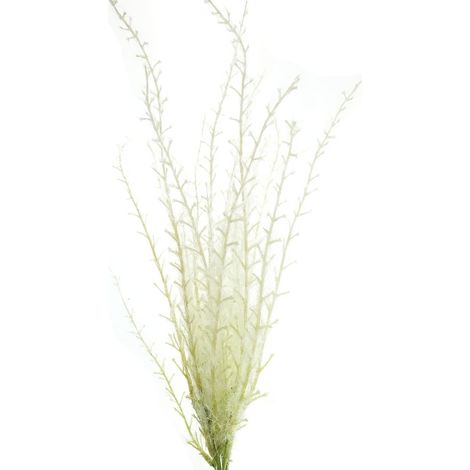 DEKO® FLORALE Pampasgras Creme Bündel 45 cm - Kunstblumen