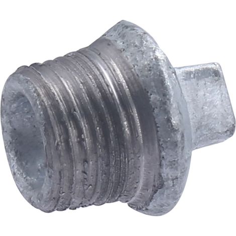 Tapón Galvanizado QUICK PLOMBERIE - Macho 1/2