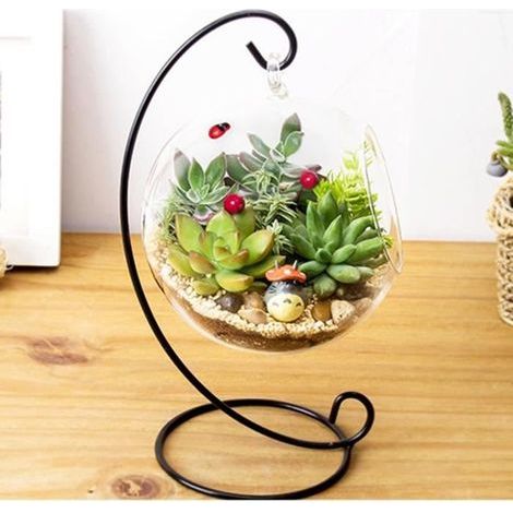 Vase en verre suspendu - Marque inconnue - Boule terrarium cadre plantes aériennes - Verre borosilicate - Noir (1/4)
