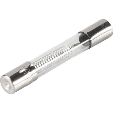 2 Fusibles Axiaux Verre 0.65A 5KV 6mm Pour Four Micro Ondes (1/4)